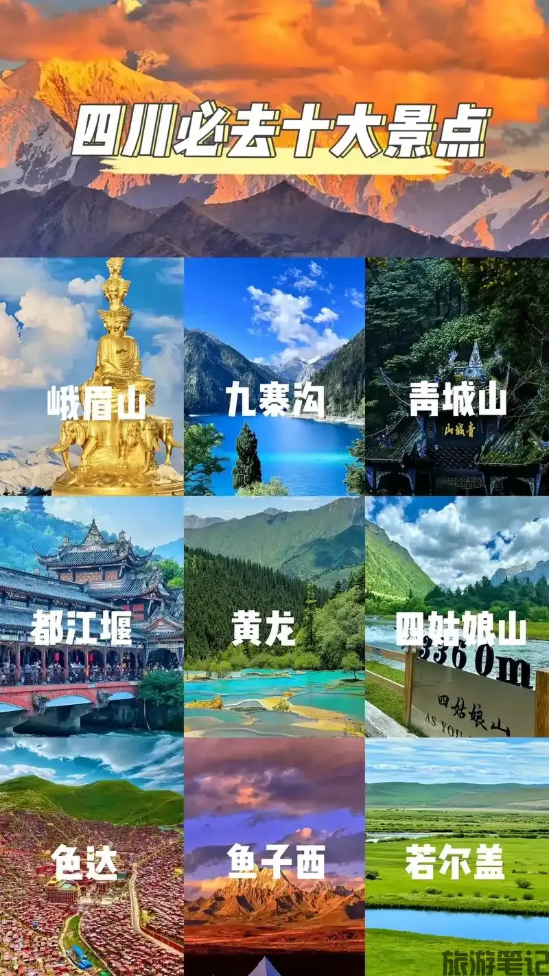 u=388284219