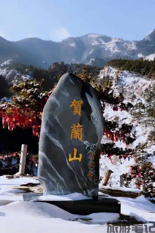 u=173313157