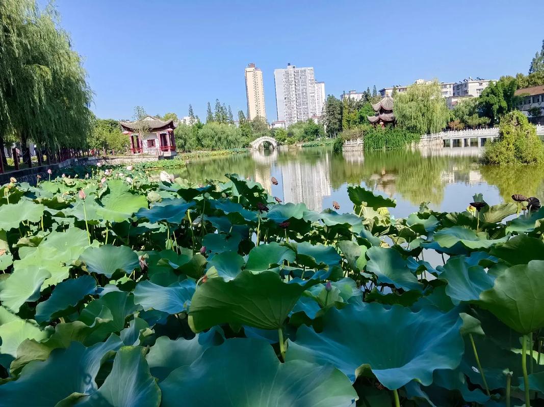 莲湖区十大小众旅游景点推荐，畅游西安，免