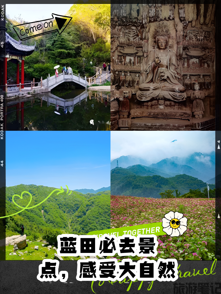 b7003af33a87e95089f856f302385343faf2b446.png