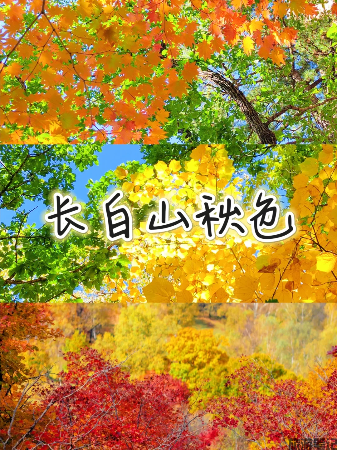 风雨过后见天池：带娃和姥姥的延吉 - 长白山 9 日休闲游