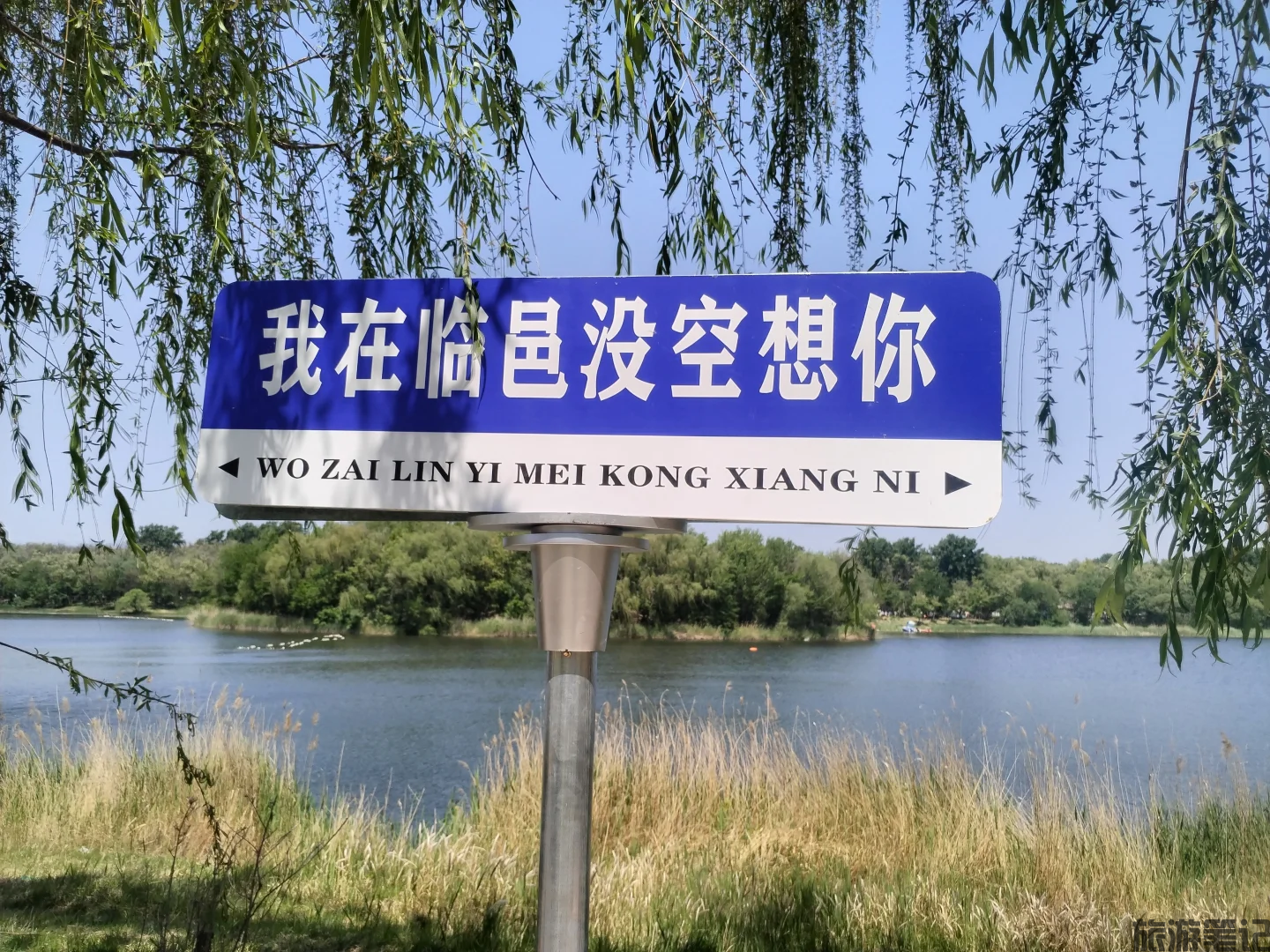 临邑县免费全景攻略:十大0元打卡地,湿地