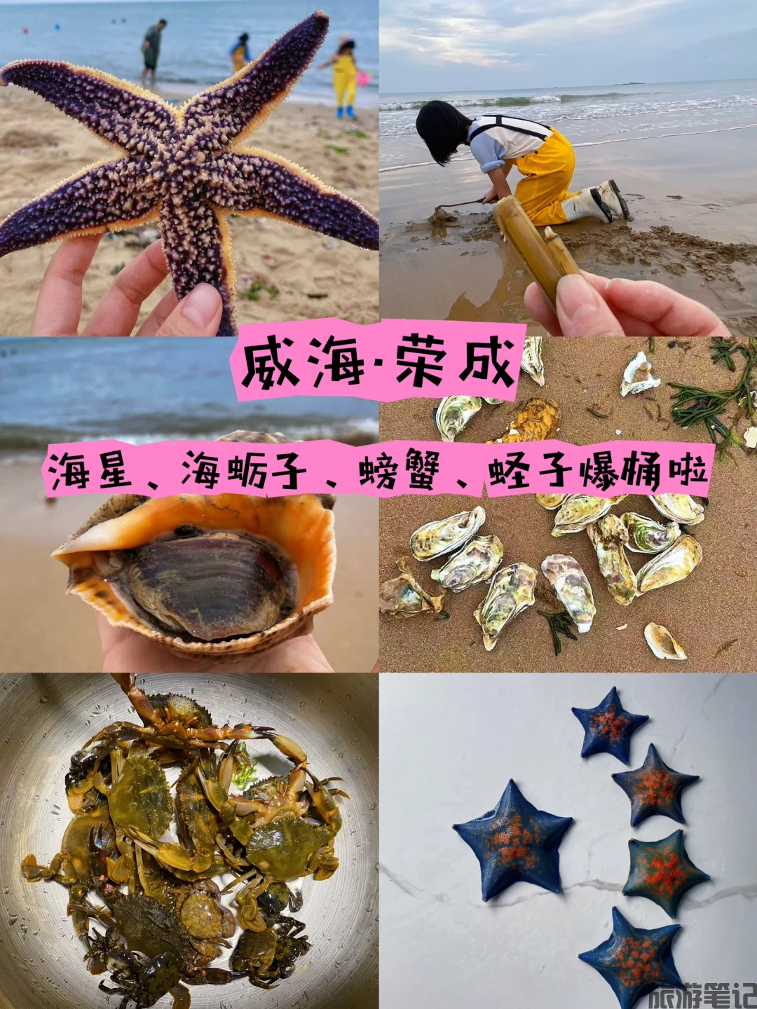 威海荣成免费旅游全攻略：桑沟湾湿地、那香海沙滩… 滨