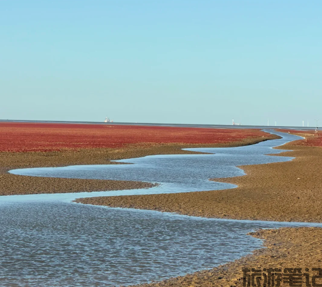 垦利区十大免费景点深度游｜0元玩转“黄河入海·温泉之都”