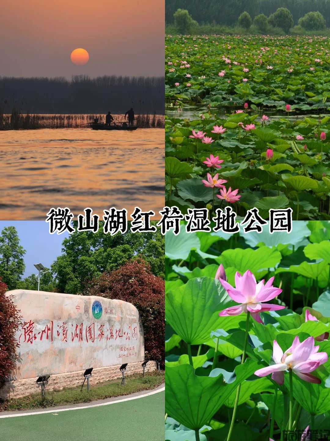 _4_当当当_来自小红书网页版.jpg