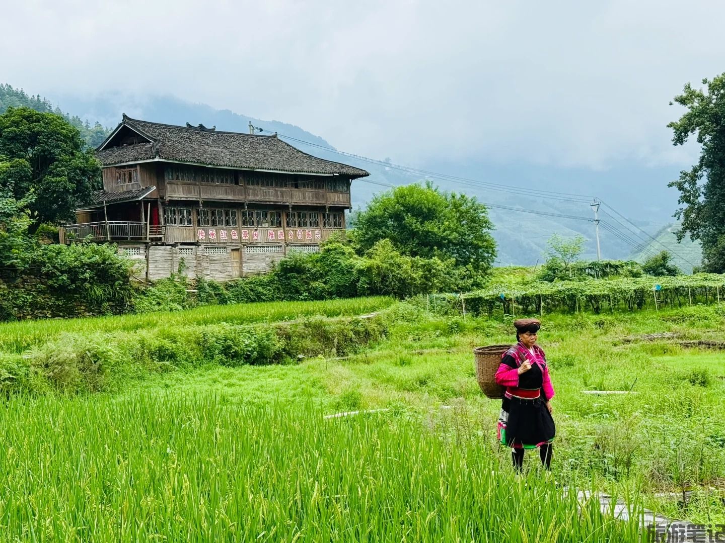 龙胜各族自治县十大免费景点全攻略｜0元玩转龙脊梯田外